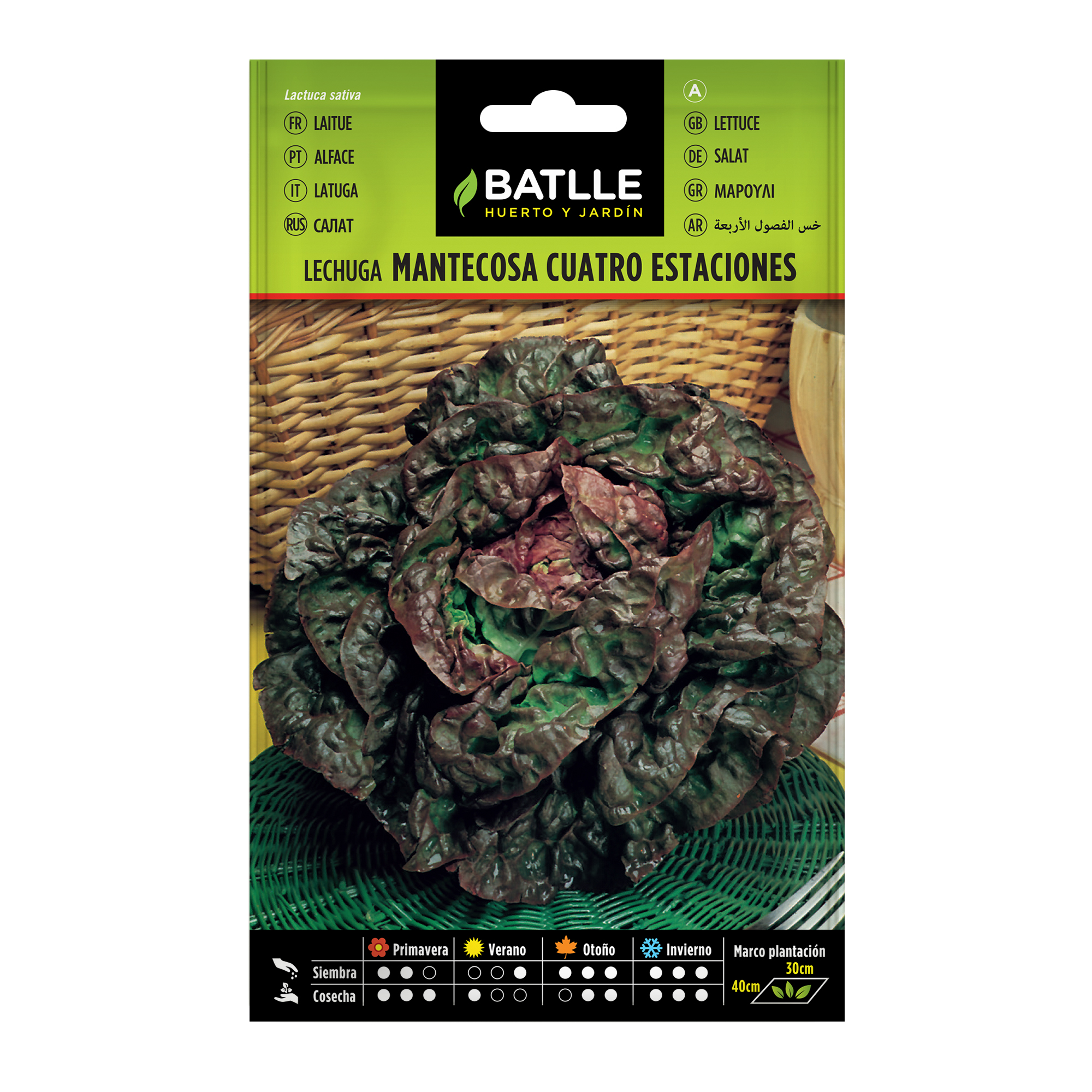 Lechuga mantecosa 4 estaciones